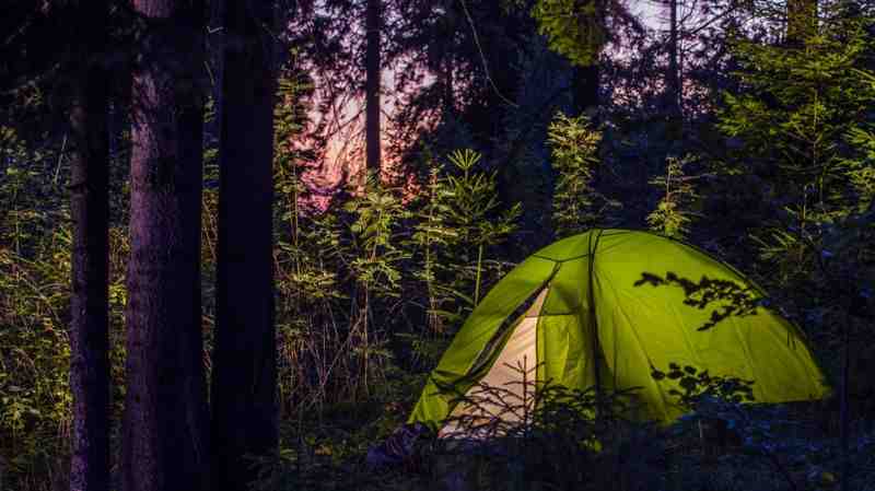 Où camper en forêt ?